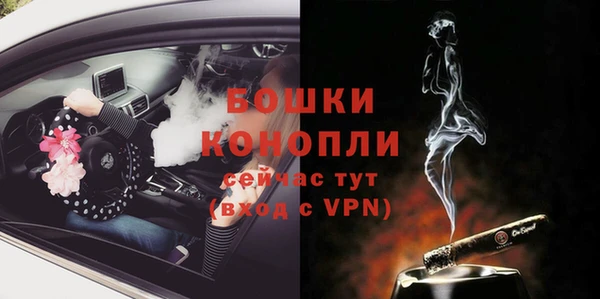 spice Арсеньев