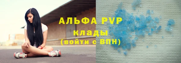 spice Арсеньев