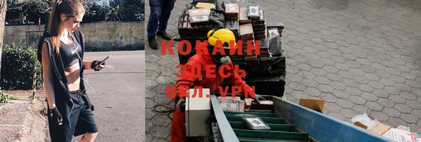 spice Арсеньев