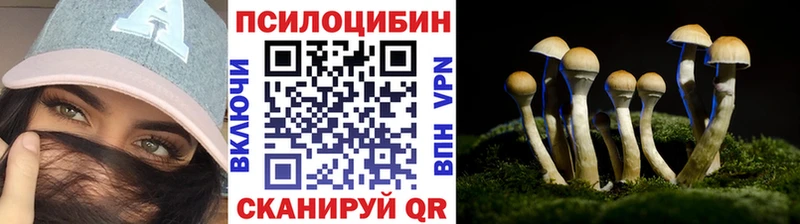 Галлюциногенные грибы Magic Shrooms  Купить где  Приозерск 